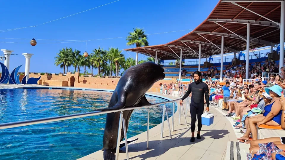 Alanya Sea Park Yunus Şovu – Unutulmaz Bir Yunuslarla Buluşma – 3