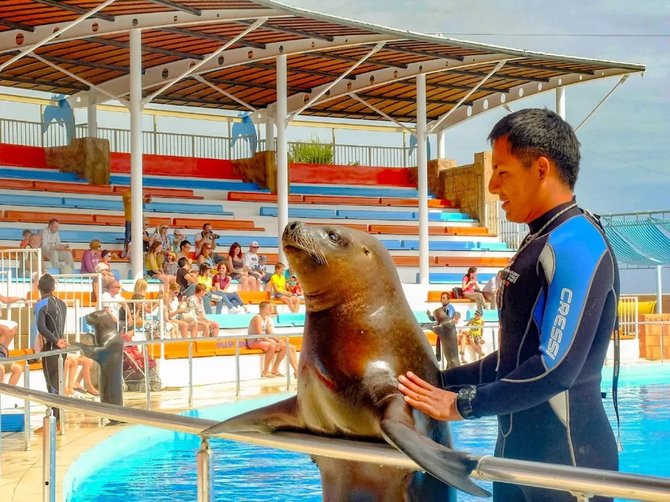 Alanya Sea Park Yunus Şovu – Unutulmaz Bir Yunuslarla Buluşma – 4