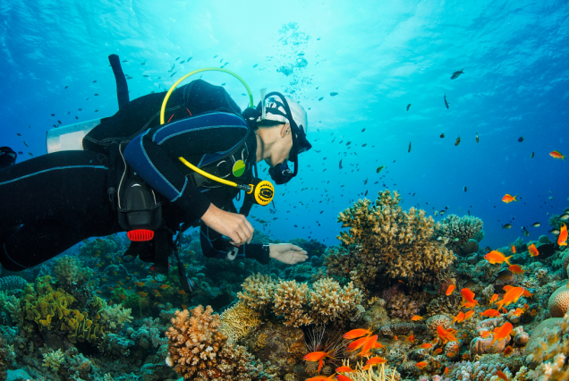 Alanya Diving