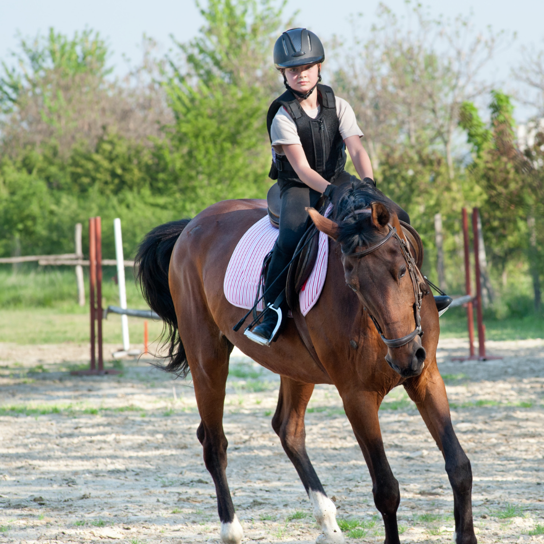 Alanya Horse Riding