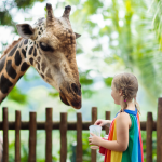 Alanya Zoo Park Tour