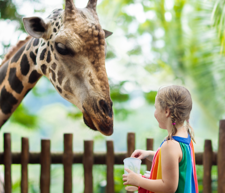 Alanya Zoo Park Tour